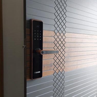 Khóa vân tay Kaimi BTM101 - Màu viền đồng