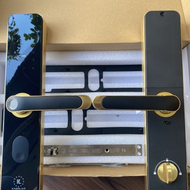 Khóa điện tử Kassler KL- 696 GOLD APP TTLOCK WIFI