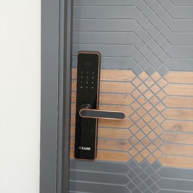 Khóa vân tay Kaimi BTM101 - Màu viền đồng