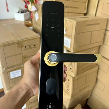 Khóa điện tử Kassler KL- 696 GOLD APP TTLOCK WIFI