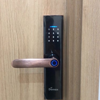 Khóa vân tay thông minh DEMAX SL266 AC