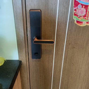 Khóa vân tay Kaimi BTM101 - Màu viền đồng