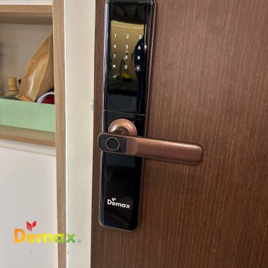 Khóa cửa thông minh Demax EL-C68 AC APP