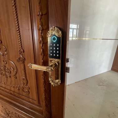 Khóa thông minh đại sảnh - biệt thự Demax SL280 24K BRASS