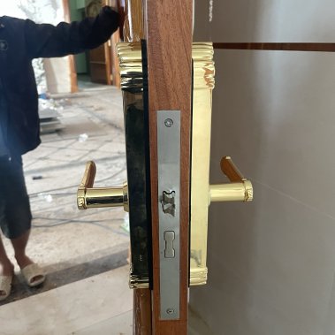 Khóa thông minh đại sảnh - biệt thự Demax SL280 24K BRASS