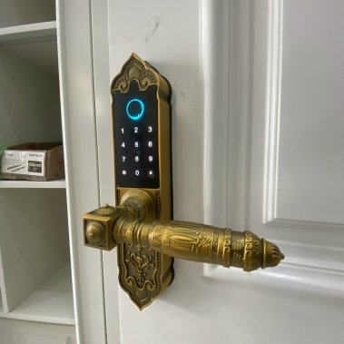 Khóa thông minh đại sảnh - biệt thự Demax SL280 GB App