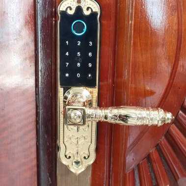 Khóa thông minh đại sảnh - biệt thự Demax SL280 Gold App