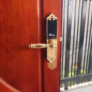 Khóa thông minh đại sảnh - biệt thự Demax SL280 Gold App