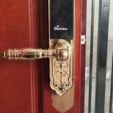 Khóa thông minh đại sảnh - biệt thự Demax SL280 Gold App