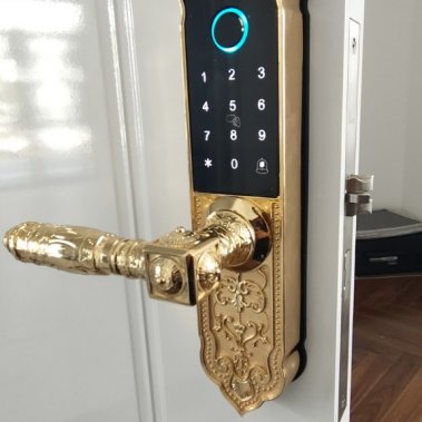 Khóa thông minh đại sảnh - biệt thự Demax SL280 Gold App