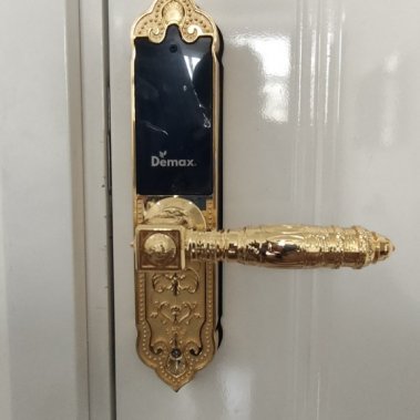 Khóa thông minh đại sảnh - biệt thự Demax SL280 Gold App