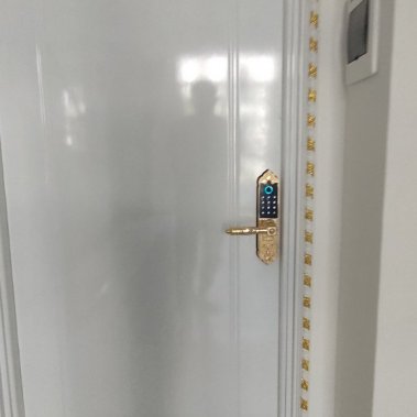 Khóa thông minh đại sảnh - biệt thự Demax SL280 Gold App