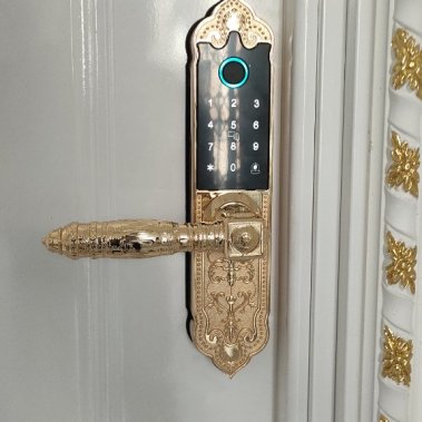 Khóa thông minh đại sảnh - biệt thự Demax SL280 Gold App