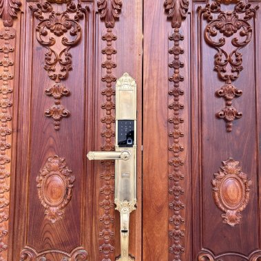 Khóa thông minh đại sảnh - biệt thự Demax SL821 GOLD APP