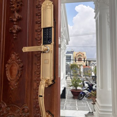 Khóa thông minh đại sảnh - biệt thự Demax SL821 GOLD APP