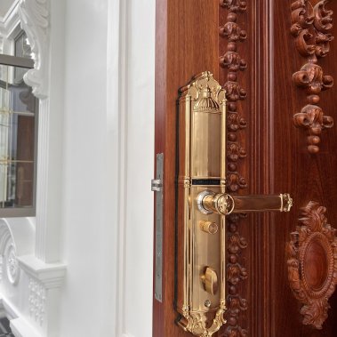 Khóa thông minh đại sảnh - biệt thự Demax SL821 GOLD APP