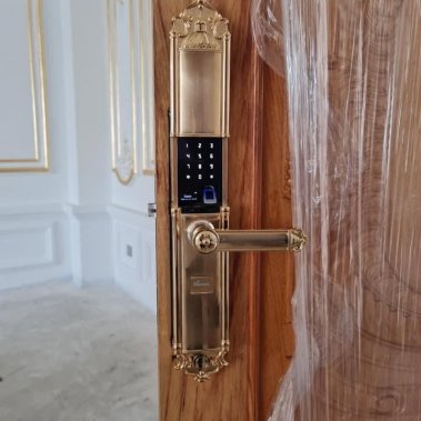 Khóa thông minh đại sảnh - biệt thự Demax SL822 GOLD APP