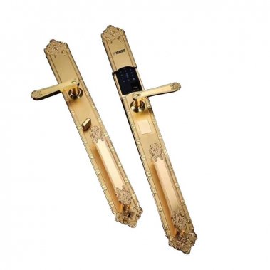 Khóa vân tay đại sảnh tân cổ điển Kaimi DS102