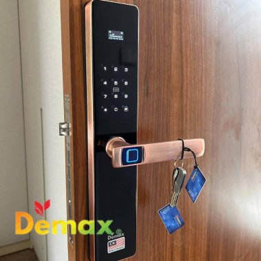 Khóa vân tay thông minh DEMAX EL-C622 AC APP WIFI