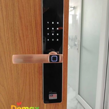 Khóa vân tay thông minh DEMAX EL-C622 AC APP WIFI