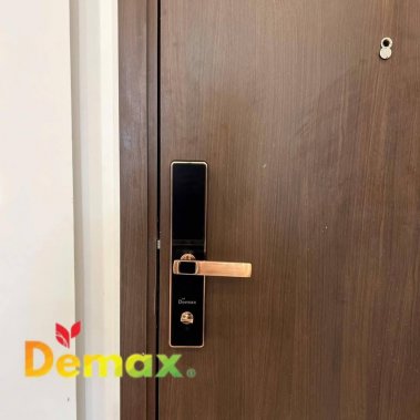 Khóa vân tay thông minh DEMAX EL-C622 AC