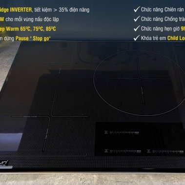 BẾP TỪ EUROSUN EU-T905G