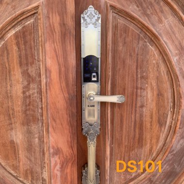 Khóa vân tay đại sảnh tân cổ điển Kaimi DS101