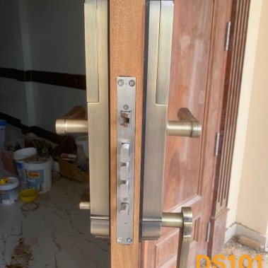 Khóa vân tay đại sảnh tân cổ điển Kaimi DS101