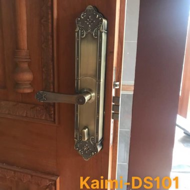 Khóa vân tay đại sảnh tân cổ điển Kaimi DS101