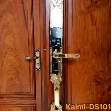 Khóa vân tay đại sảnh tân cổ điển Kaimi DS101