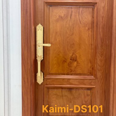 Khóa vân tay đại sảnh tân cổ điển Kaimi DS101