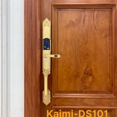 Khóa vân tay đại sảnh tân cổ điển Kaimi DS101
