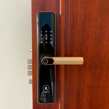 Khóa vân tay thông minh Kassler KL-678 Gold