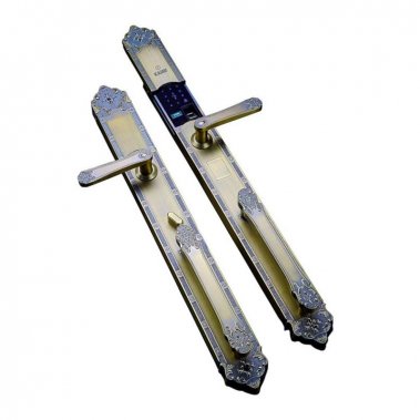 Khóa vân tay đại sảnh tân cổ điển Kaimi DS102