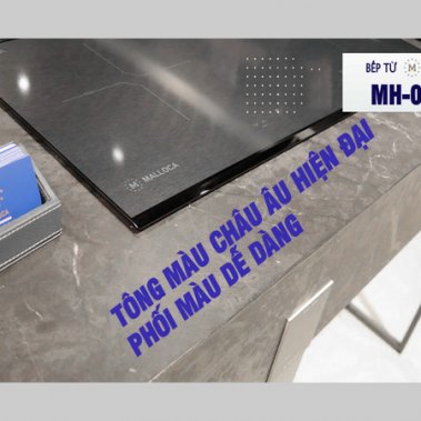 Bếp từ đôi Malloca MH-02IS