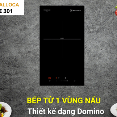 Bếp từ đơn domino Malloca MDI 301