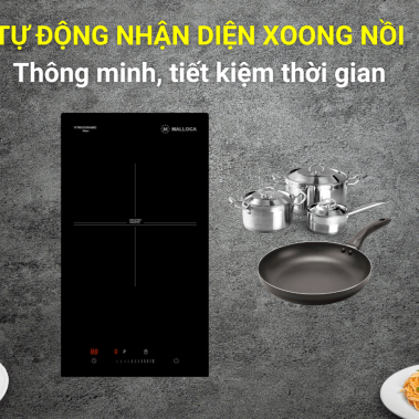 Bếp từ đơn domino Malloca MDI 301