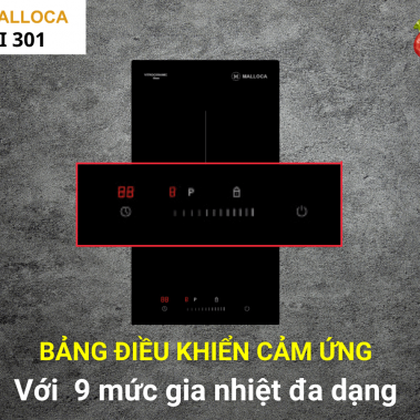 Bếp từ đơn domino Malloca MDI 301