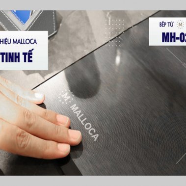 Bếp từ đôi Malloca MH-02IS