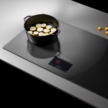 Bếp từ đa điểm Malloca Skylux MH-92TFT