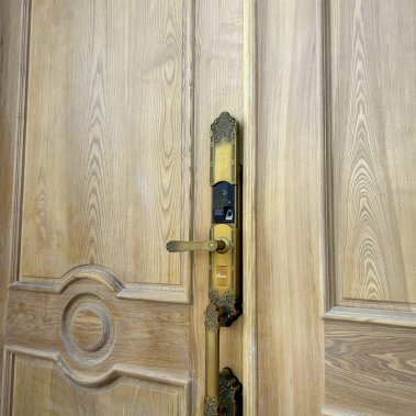 Khóa thông minh đại sảnh - biệt thự Demax SL819 GB - APP WIFI