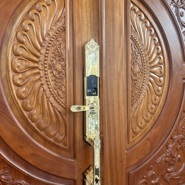 Khóa thông minh đại sảnh - biệt thự Demax SL819 GOLD - APP WIFI