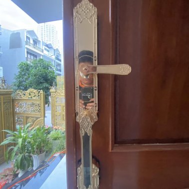 Khóa thông minh đại sảnh - biệt thự Demax SL819 GOLD - APP WIFI