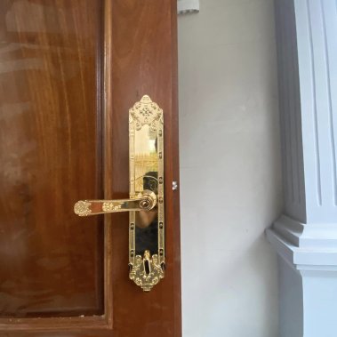 Khóa thông minh đại sảnh - biệt thự Demax SL819 GOLD - APP WIFI