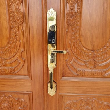 Khóa thông minh đại sảnh - biệt thự Demax SL819 GOLD - APP WIFI