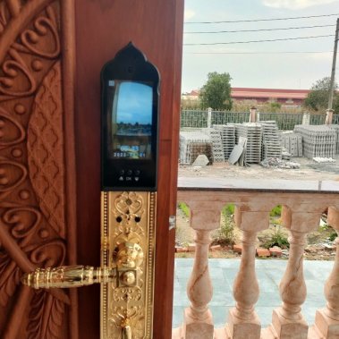 Khóa thông minh đại sảnh - biệt thự Face ID Demax SL938 GOLD - APP WIFI