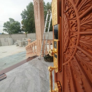 Khóa thông minh đại sảnh - biệt thự Face ID Demax SL938 GOLD - APP WIFI