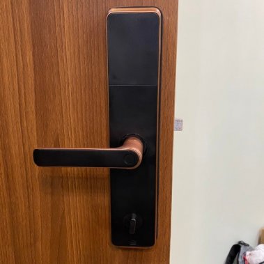 Khóa vân tay Kaimi BTM101 - Màu viền đồng