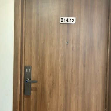 Khóa vân tay thông minh DEMAX EL628 SG APP/ REMOTE