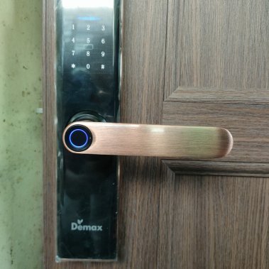 Khóa vân tay thông minh DEMAX SL266 AC APP WIFI